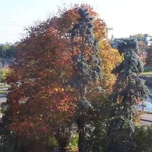 Meet your Posher, Tricia